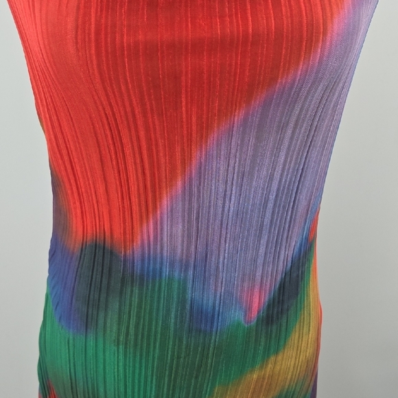 Colorful Pleated Maxi Dress - Picture 15 of 16